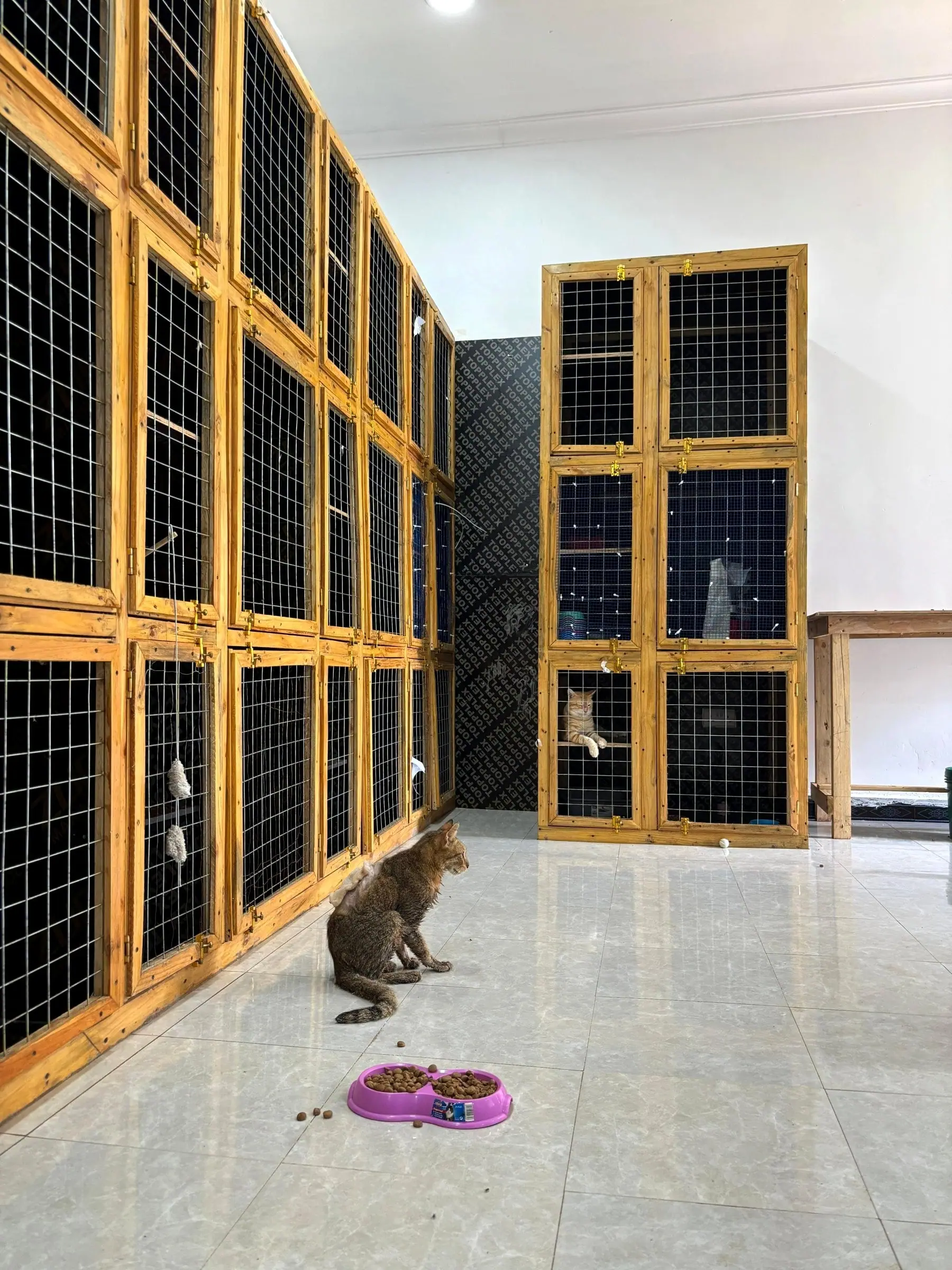 Fit-out, 30 Mar 2026