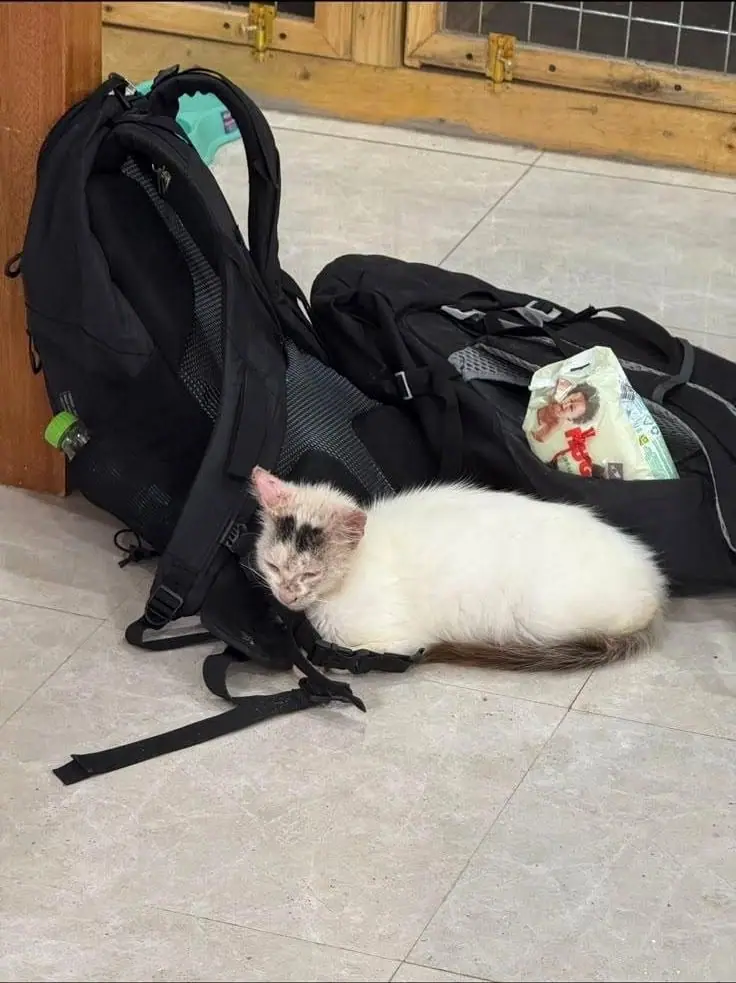 Klaus, als er gefunden wurde: geschwächt neben einem Rucksack