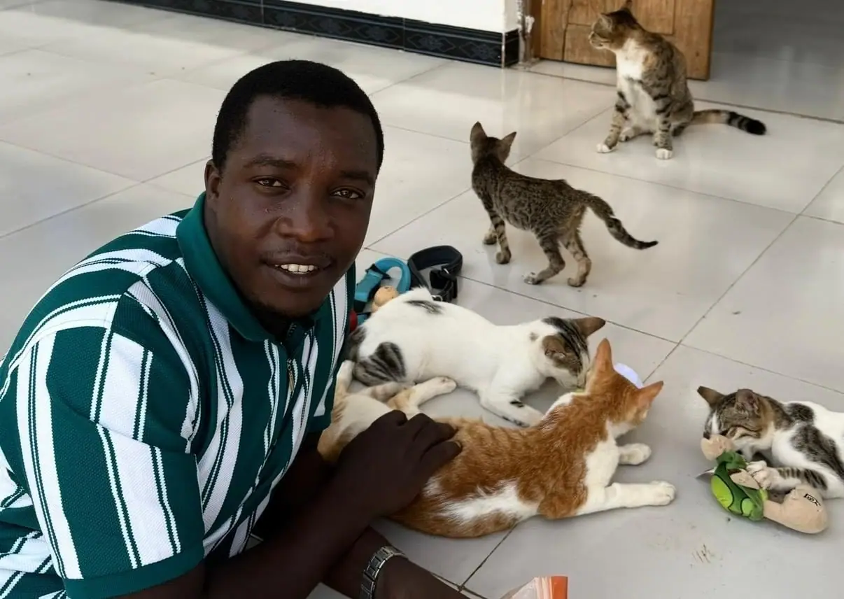 Makame mit Katzen im Shelter