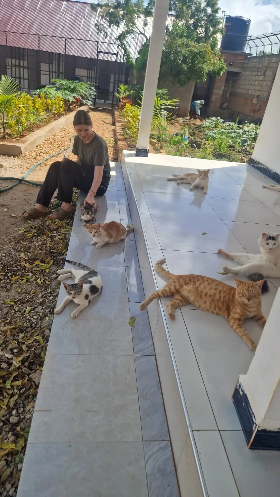 Time with the cats