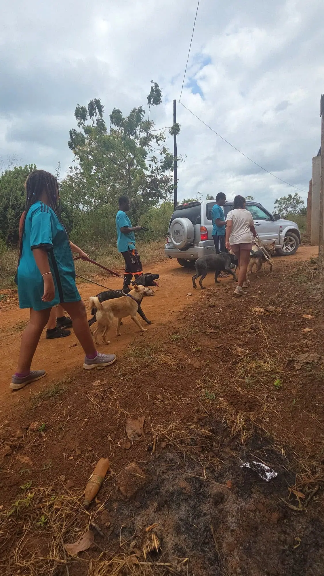 Out with the dogs